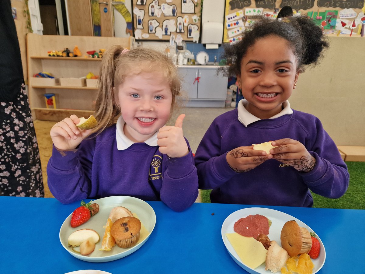 Alder Tree Primary tweet media