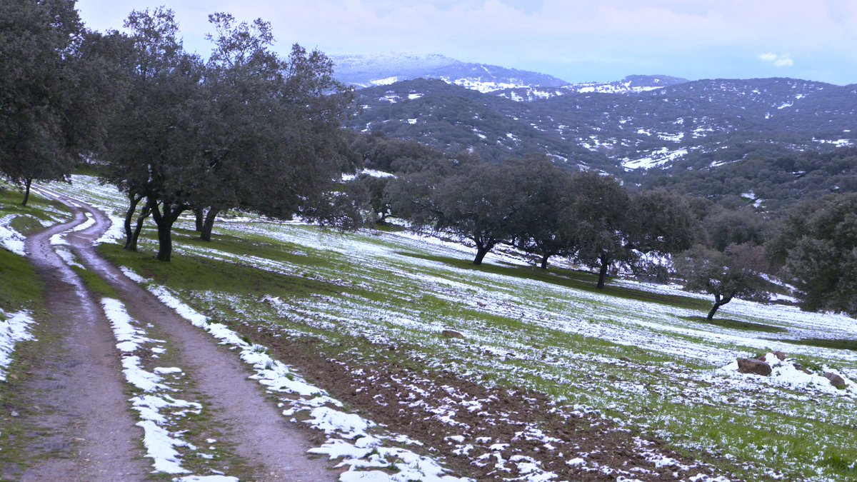 ⭕️¡Comienza #TurismoRuralExtremadura1! 

Hoy nuestro viaje empieza en Badajoz... ¡no te pierdas el programa y sigue el DIRECTO! #PonLa2 

rtve.es/play/videos/di…