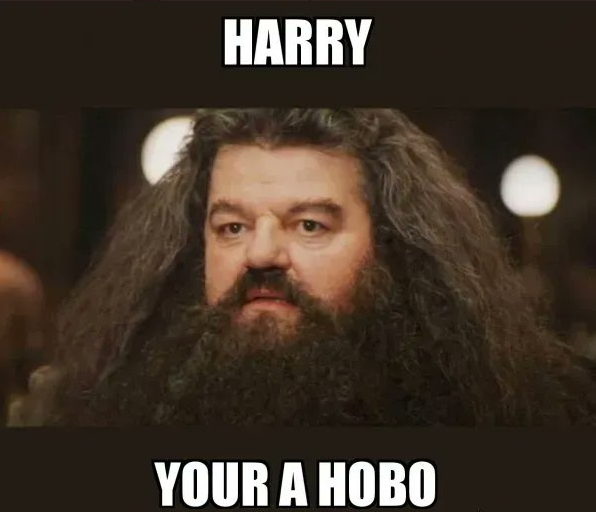 Play2Garbage's tweet photo. You're a hobo Harry!🥴🍾
#Cryptohobos #BlockchainGaming #NFTproject #NFTCommunity https://t.co/LmIwDFYjHK