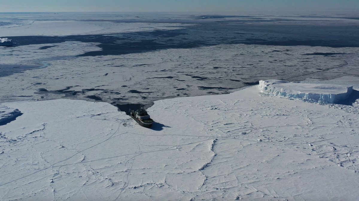 OceanSeaIceNPI's tweet photo. On the ongoing @CIRFA_SFI expedition on #FFKronprinsHaakon we are studying the fast ice off the #Greenland coast. This sea ice is held in place by icebergs from the Greenland ice sheet that have grounded on shallow banks off the coast.
#npolar #FramStraitNPI #maritimerobotics https://t.co/zG2tu6uLIH