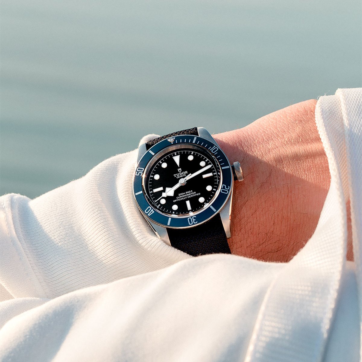 Time zone changed, now dive right in with the <a href="/Tudor_Watch/">Tudor Watch</a> Black Bay 🌊☀️

The Tudor Black Bay. 41 mm steel case, Manufacture Calibre. #TudorWatch #BornToDare
.
.
#tudorblackbay #tudoraddict #luxurywatches #luxurywatchesformen #menswatch #watch #watches #watchcollecter