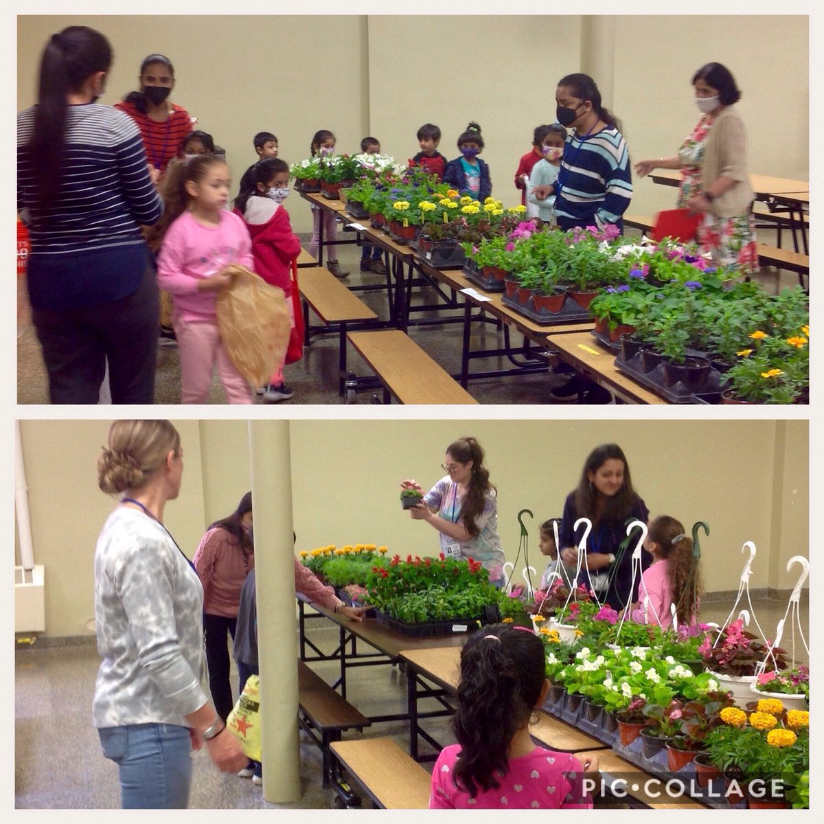 School29Eagles's tweet image. 🗣OTR's Mother's Day Plant Sale is open for business! 🌸🌺🌼A HUGE THANK YOU to @mstweed1 & all the parent volunteers helping us out today! 🙏🏻❤️ #MothersDay2022 💚💛🦅