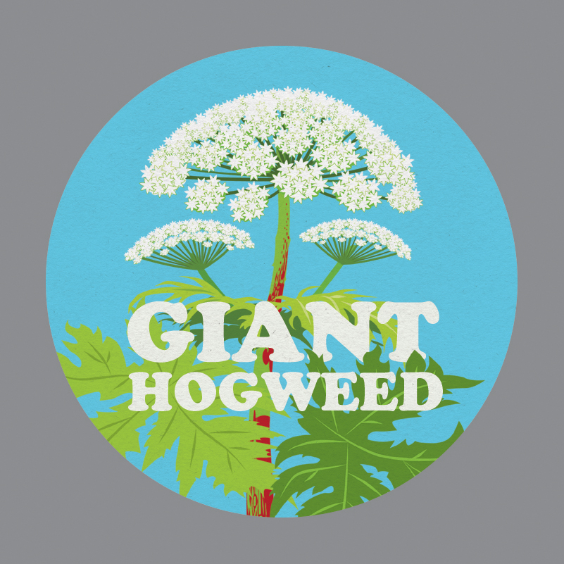 Bob_Fischer's tweet photo. Clearing stock and cupboard space to make way for new @hauntedgen merch! All remaining badges now half price... down to 99p each, plus p&p. They are lovely, chunky things with artwork by the ace @JaseHeeley #hauntedgeneration #gianthogweed. Heere... https://t.co/3kKPhsH9Zh https://t.co/gm9E9MulwD
