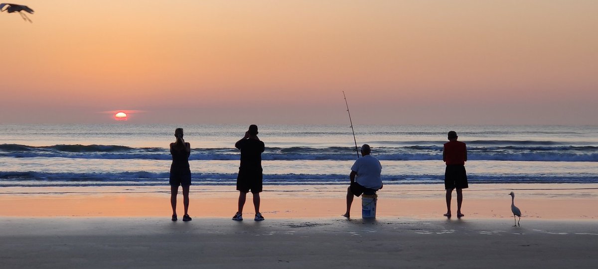 Early birds at sunrise. Daytona Beach Shores, 5/5/2022. <a href="/OnePlus_USA/">OnePlus_USA</a>