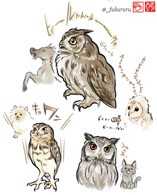 ここがすごいのフクロウさん〜🦉

陽気なおじさん風「ホッホーゥ↑」
実はフクロウ、犬風、猫風、馬風、電子音風!めっちゃ色んな鳴き方できるんですよ🦉 