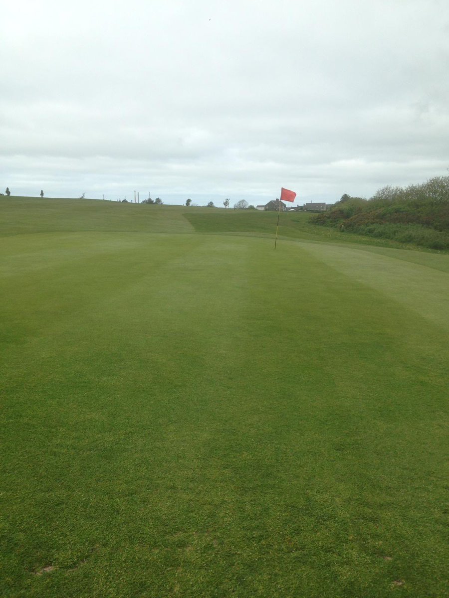 SouthPembsGC tweet media