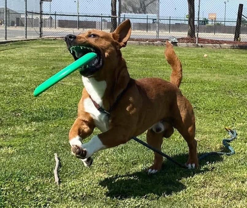 Pause4Change tweet media