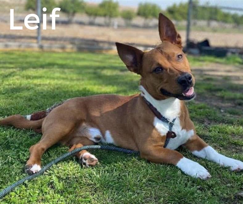 Pause4Change tweet media