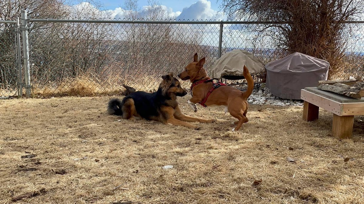 Pause4Change tweet media