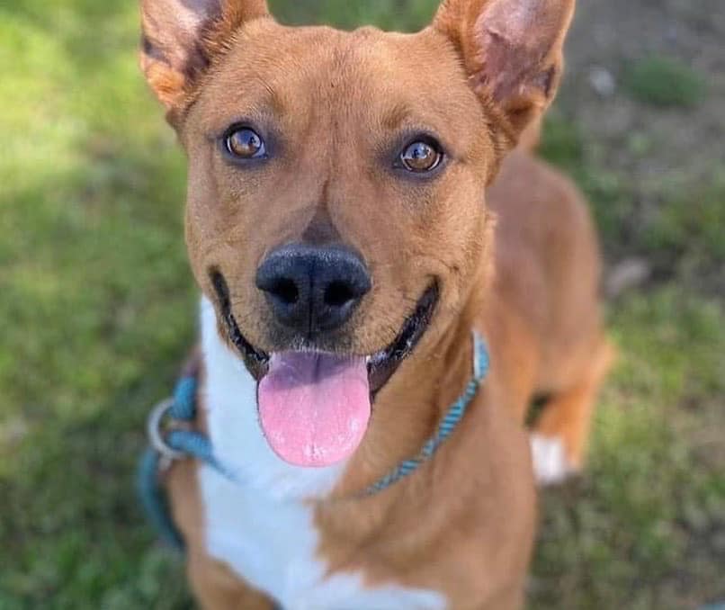 Pause4Change tweet media