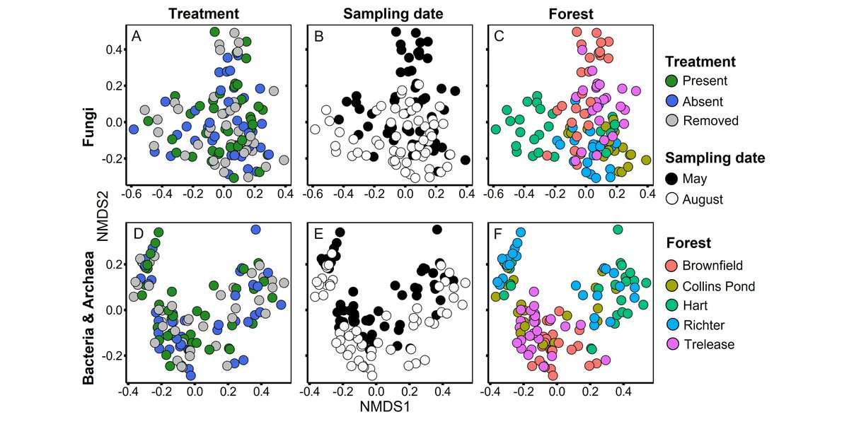 ESAEcosphere's tweet photo. #GarlicMustard is a notorious #allelopathic invasive plant - but is its impact uniform throughout its invaded range? A new study finds little effect on midwestern #SoilMicrobialCommunities
https://t.co/GlSguNbx0V
#OpenAccess @jedward_s @WendyYangUIUC @GEEBatUIUC @ACESIllinois https://t.co/nzHzt3EjQQ