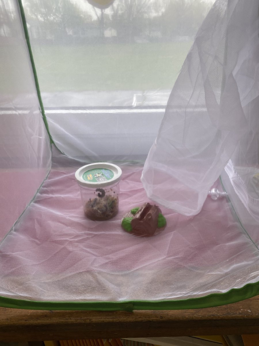 Alyssa Formisano tweet media