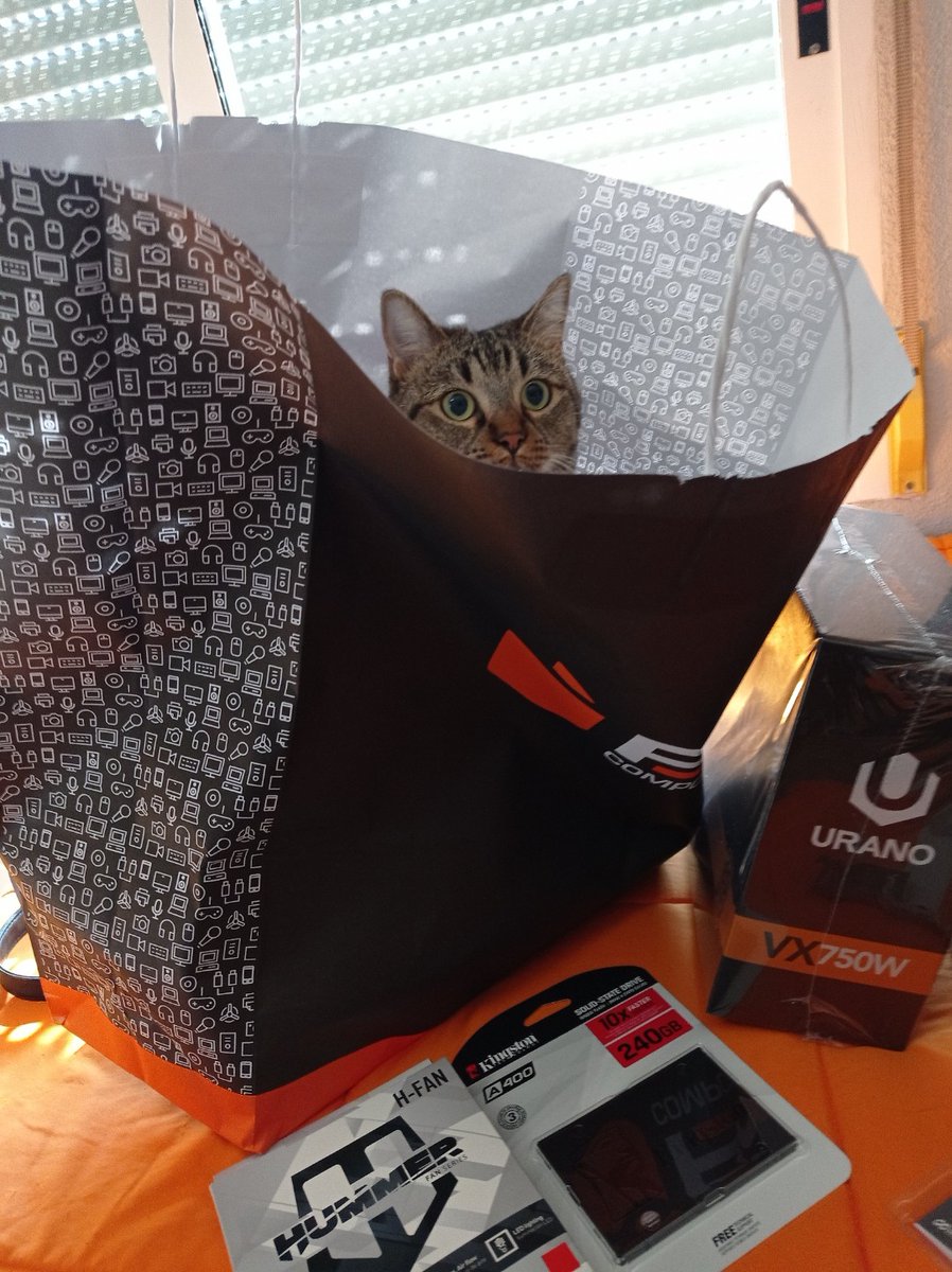 mirlo_lol's tweet photo. @pccomponentes @es_GenesisZone #PcComponentesGenesis Me encanta la torre, pero creo que hablando desde PCMichiComponentes, aseguro que lo mejor será la bolsa. https://t.co/uSjkNT5N7x