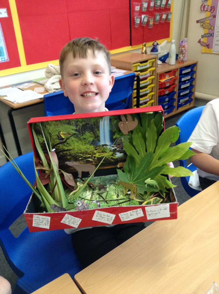 latimerprimary's tweet image. More of #ClassER 's fantastic Amazon rainforest project homework #LatimerGeography