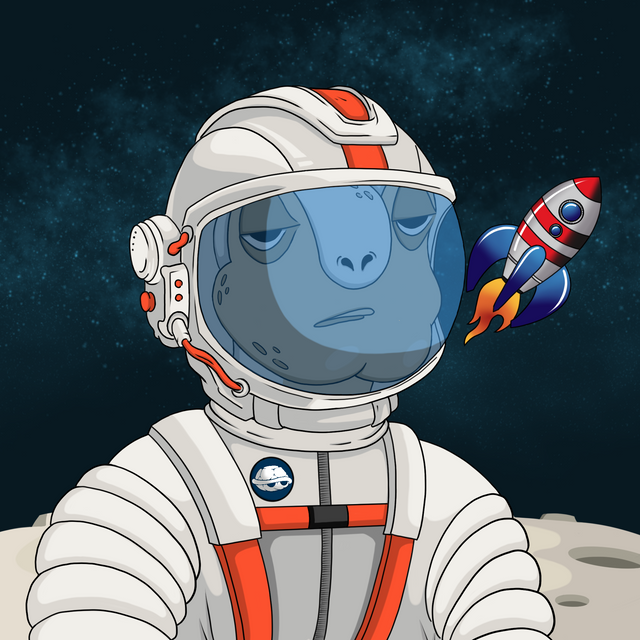 Toasty Turts tweet media