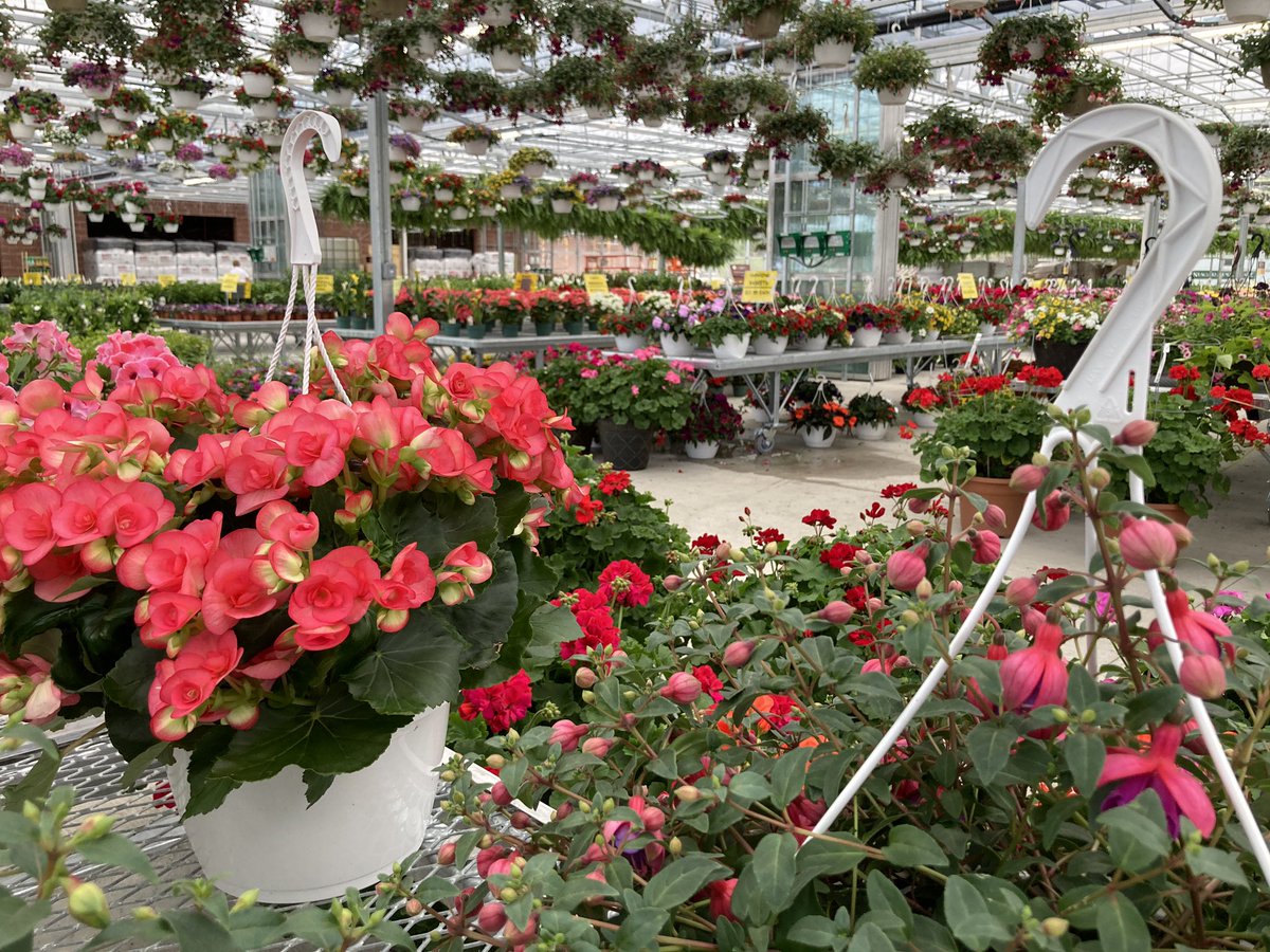 Niagara Produce greenhouse is now open in Elma. <a href="/WGRZ/">WGRZ</a>