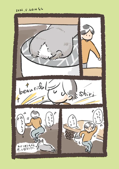 今日のrabbit…
#うさぎのいる生活 