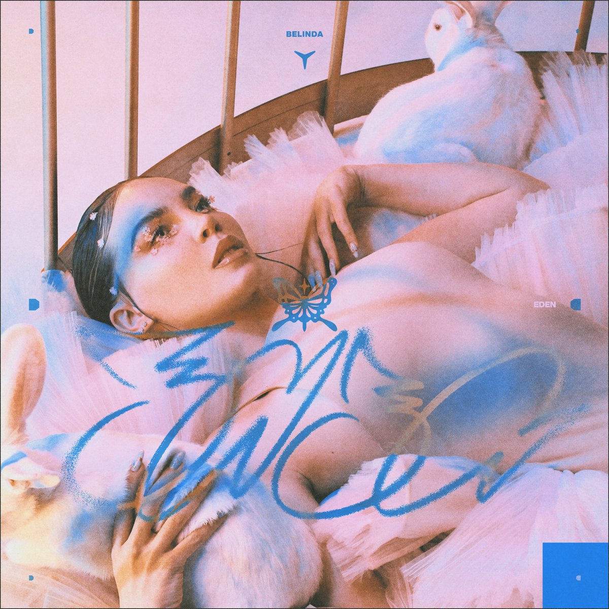 Belinda tweet media