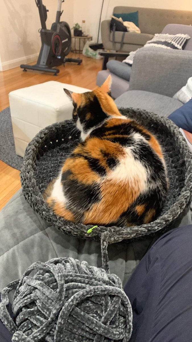 Bitter_Qween's tweet photo. I started crocheting a basket to keep my yarn in and someone decided that in fact it is a day bed

I feel like I cannot argue https://t.co/5FoiN7eNCW
