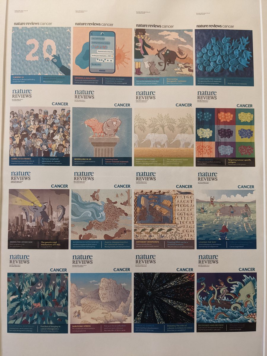 Sarah Seton-Rogers tweet media