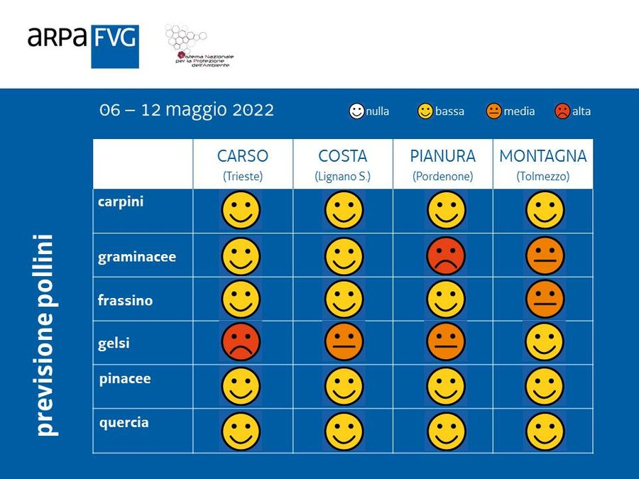 ARPAFVG's tweet photo. Pollini molto abbondanti in aria nel #FriuliVG.
Consulta la news: https://t.co/8FPcy3DE78 https://t.co/nYlBEGWrcV