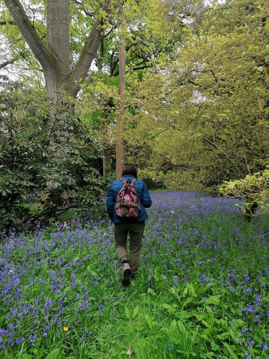 GrainneClear's tweet photo. Find yourself an author who writes about plants, works at an arboretum and will bring you on a personal tour of the best bluebell spots the day after her book launch 🌿
#SecretWild https://t.co/UcHTi0wTyL