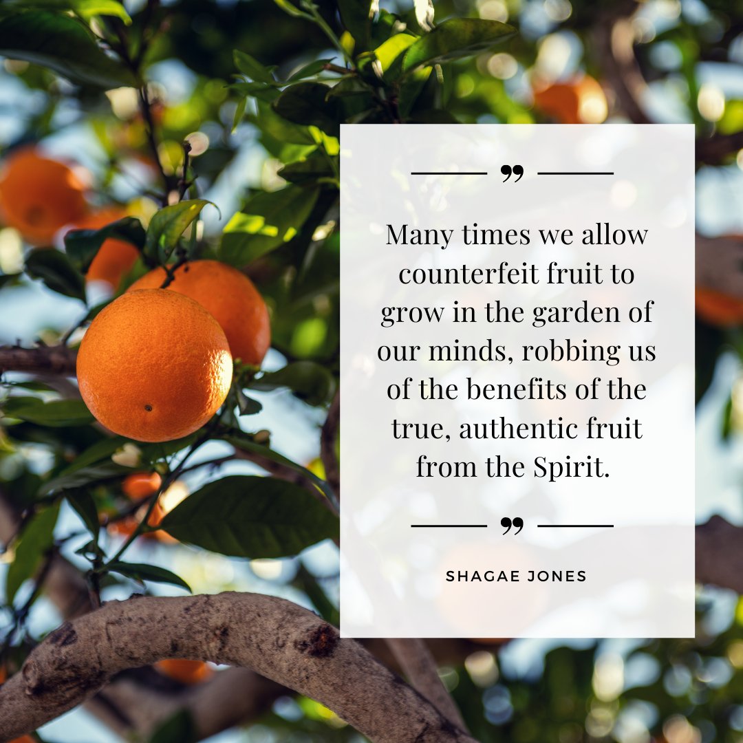 ShagaeJones's tweet photo. Many times we allow counterfeit fruit to grow in the garden of our minds, robbing us of the benefits of the true, authentic fruit from the Spirit. Read more on my most recent blog. https://t.co/o8Iy8QcUYN https://t.co/ohRJdiAEj6