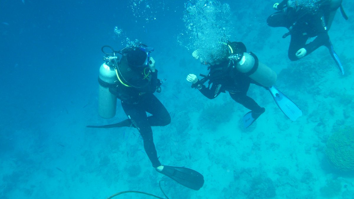 SFFreading's tweet photo. Writing info: SCUBA diving for writers. All you need to know to make it believable #writetip https://t.co/HhcMErcwOk https://t.co/8jkzfWr80F