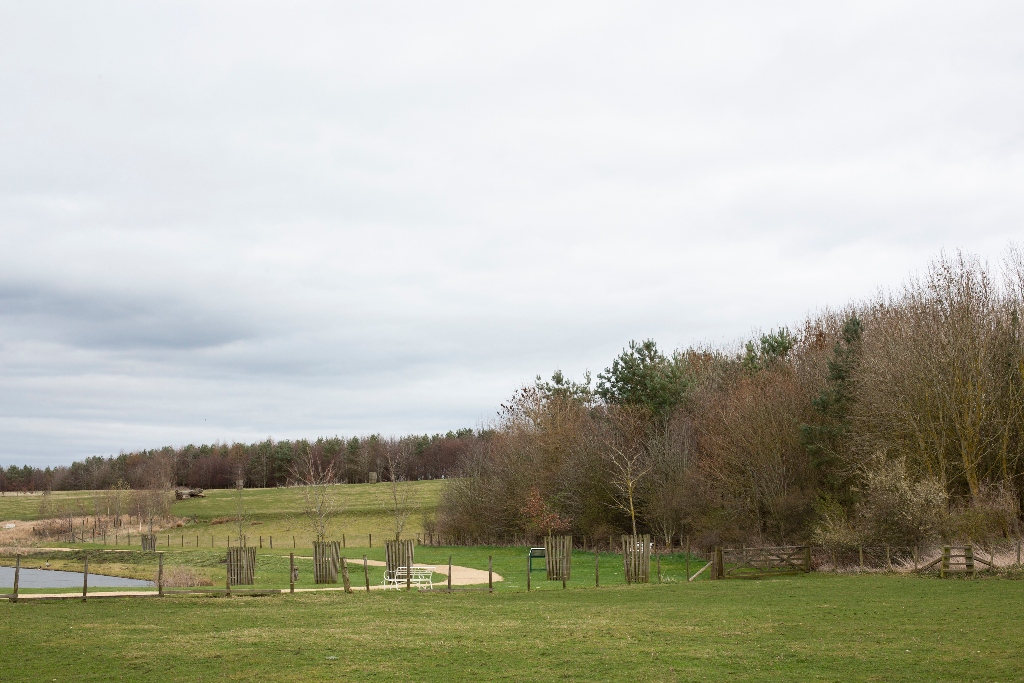 Along with partners <a href="/YorksAgSoc/">Yorkshire Ag Society</a> and <a href="/royal_forestry/">RoyalForestrySociety</a> we’re on the hunt for the best new woodland in Yorkshire🌳

Apply by 16 May to be in the running for a £400 cash prize and the prestigious John Boddy Rose Bowl trophy. 

More details and how to apply at greatyorkshireshow.co.uk/competitions/