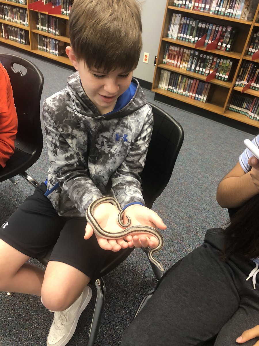 DPJH Library tweet media