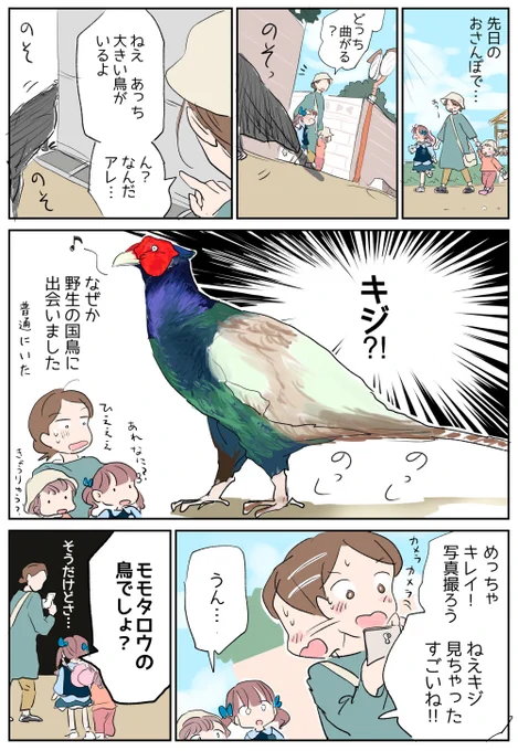 日常🌼 