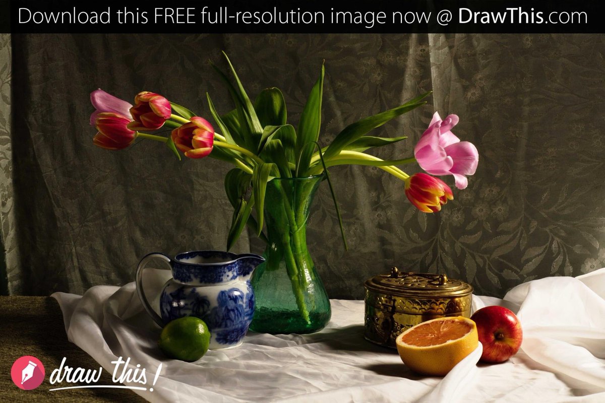 DrawThis_'s tweet photo. This sumptuous still life is the subject of today's floral #DailyArtReference. #NewMastersAcademy #NMA #art #stillife
Download this FREE image now @ https://t.co/bZxRgjMVMq https://t.co/3uDPSepYi4