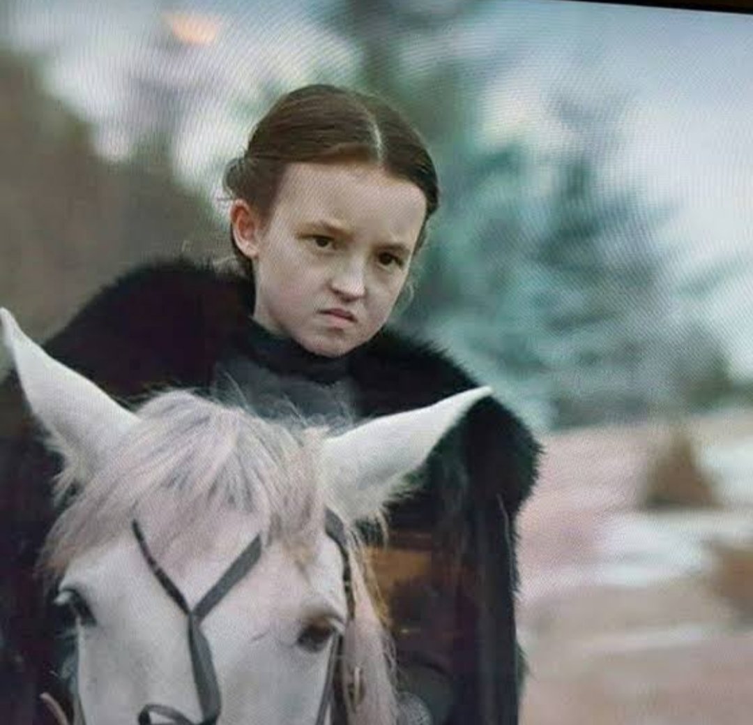 lainglen's tweet photo. #GameOfThrones blood https://t.co/GAWEPcBRBQ