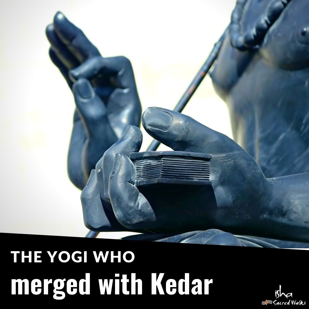 Today is "Shankara Jayanti", the birth anniversary of this intellectual giant, a genius of linguistics, and above all, a spiritual light. 🔥

Let's invoke the blessings of Adi Shankaracharya on this auspicious day. 🙏

#ShankaracharyaJayanti