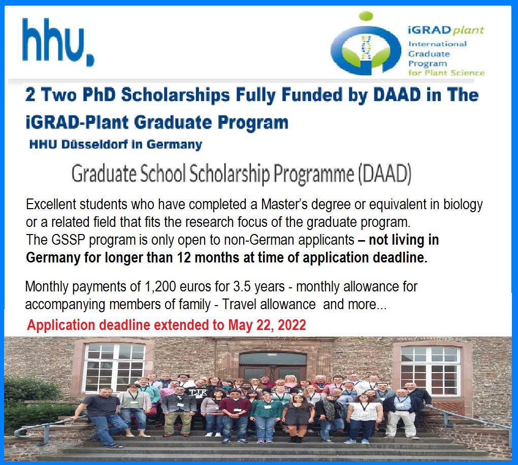 RIIMICO (@riimico) on Twitter photo 