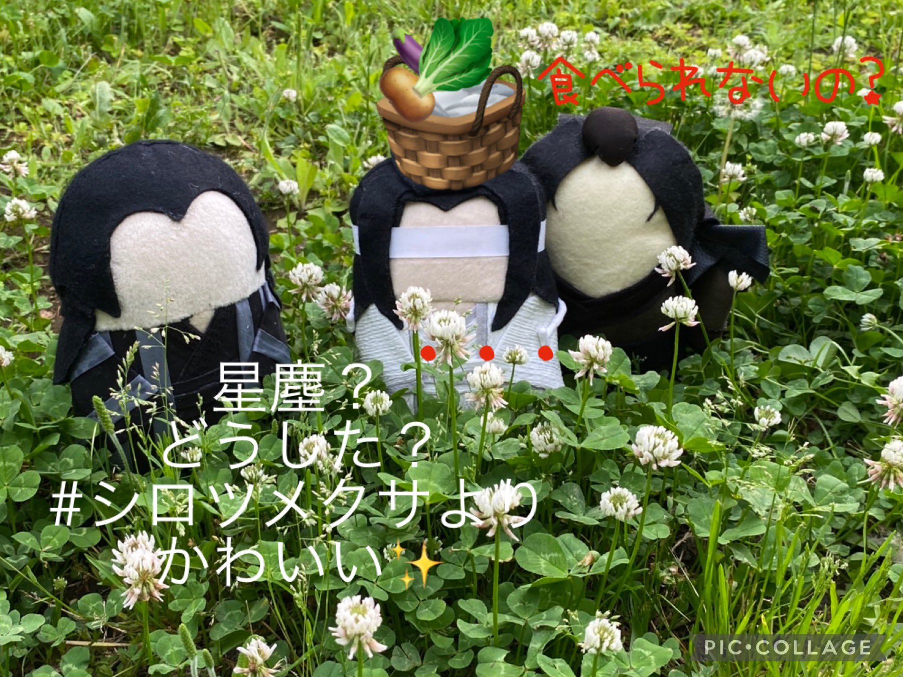 さつき Stk928green Twitter