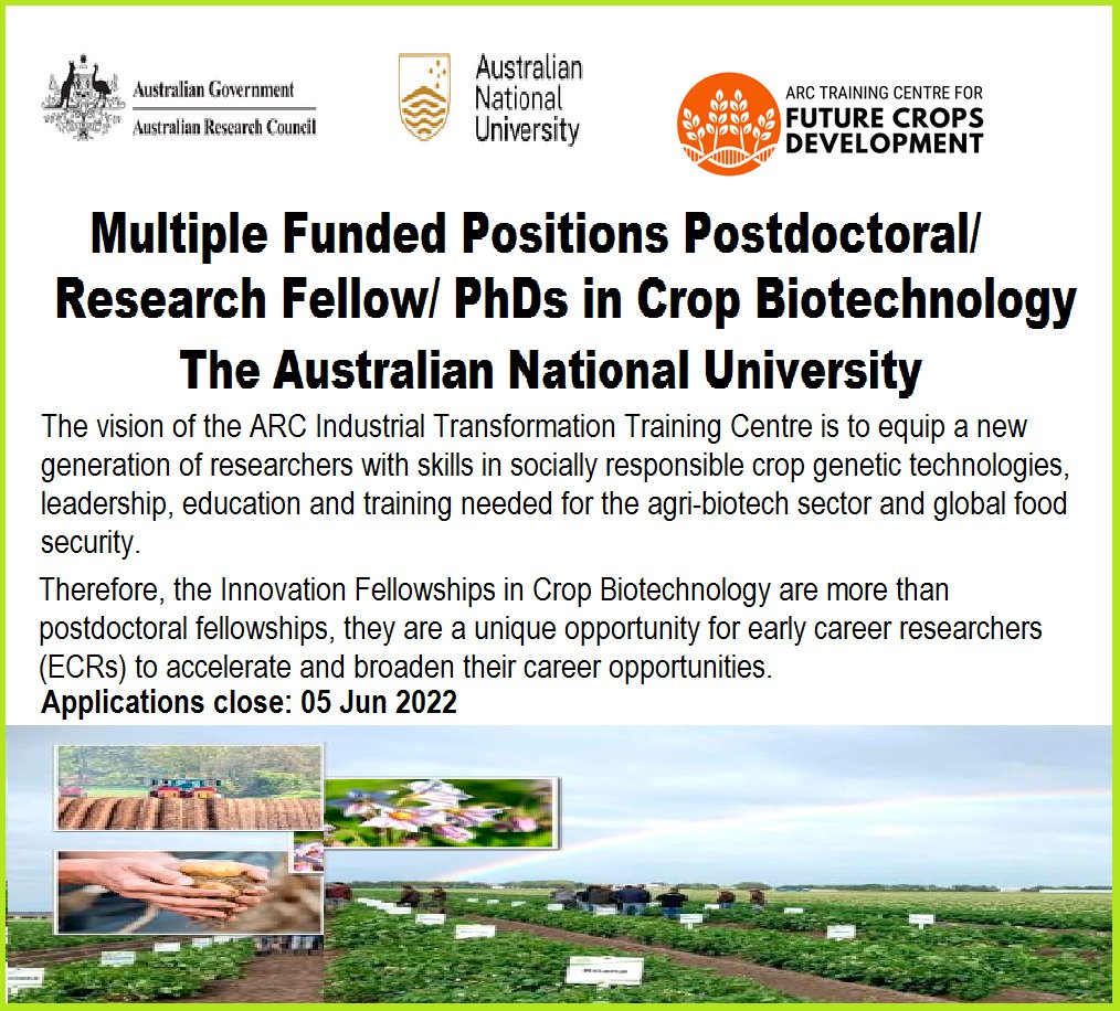 RIIMICO (@riimico) on Twitter photo 