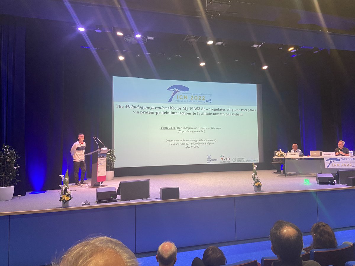 KikaLusu's tweet photo. Last poster flash presentation on the last day of #ICN2022 by Yujin Chen on a M. javanica effector that downregulates ethylene receptors via protein-protein interactions. And this helps in its successful infection of tomato plant. https://t.co/U51J85JVE5