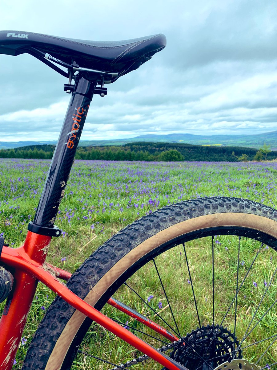 Kennedy10Mart's tweet photo. Tootle around #mortimerforest amazing views from top https://t.co/RhkICCnqZo
