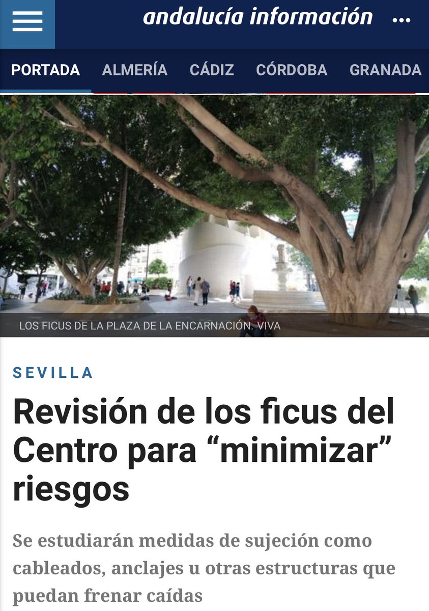 SenorGanan's tweet photo. 🔴MUERE EL ÁRBOL CENTENARIO de la Encarnación. A la derecha, noticia de hace un año. 
Se barajan dos hipótesis con un mismo acusado: el @Ayto_Sevilla 
1) Homicidio imprudente por un gobierno inepto.
2) Asesinato ordenado por @antoniomunozsev porque molestaba a los hoteles… https://t.co/If1d1XjJuz