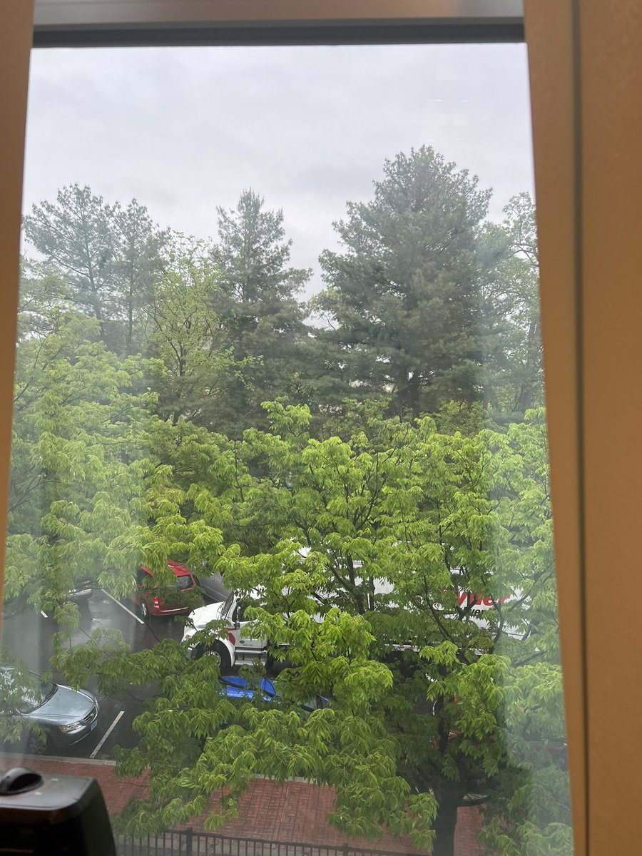 FarehaBugti's tweet photo. A window with a view is nice, one with rain and bright green 🌲 can lighten anyplace magically #DCDiaries #DC https://t.co/cbFw1UakU3