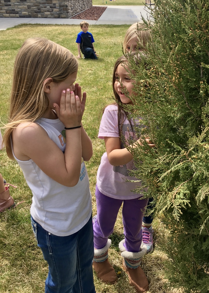 The first graders are studying plants. They observed many of the things they've learned about during their plant walk yesterday thanks to the rain and warm weather bringing the plants to life.