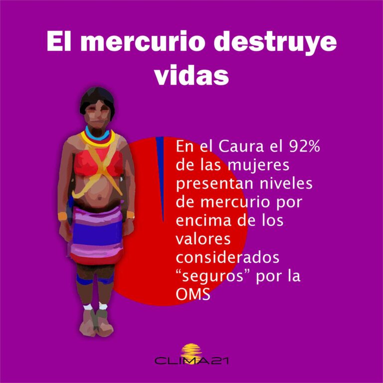 OVDHA_'s tweet photo. #Informe "Evaluación del riesgo de exposición al metil-mercurio en poblaciones indígenas ribereñas del Caura (Estado Bolívar, Venezuela)"

Disponible en nuestra web. Descárgalo aquí 👇 https://t.co/KY1BGi8vVx