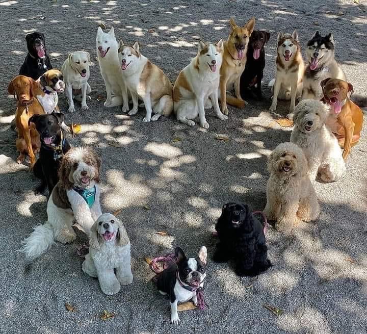 Te deseamos un bonito viernes ❤️