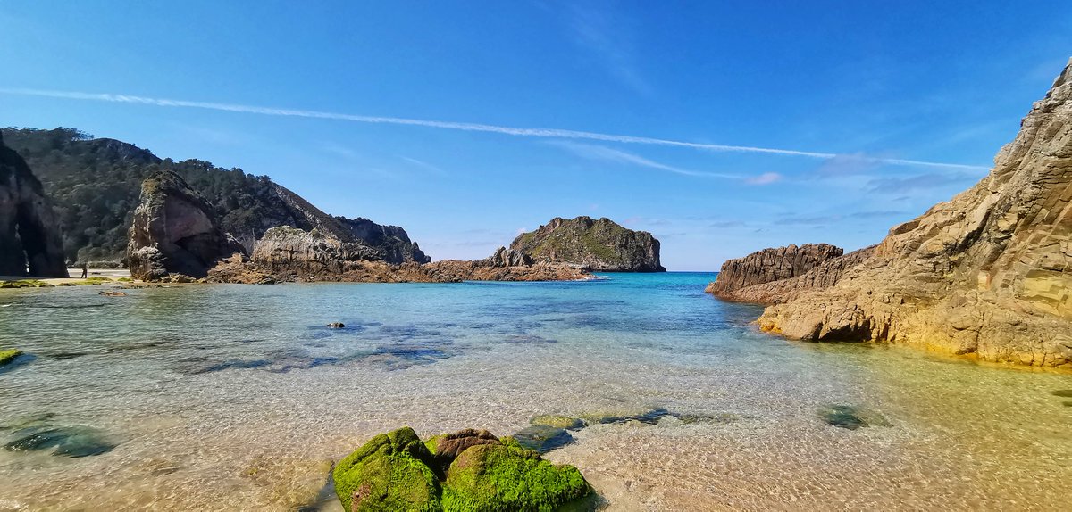 psanquin's tweet image. Investigadores intrépidos II. @REDOLFATIVA @AlinoMartinez #JornadasOlfativas