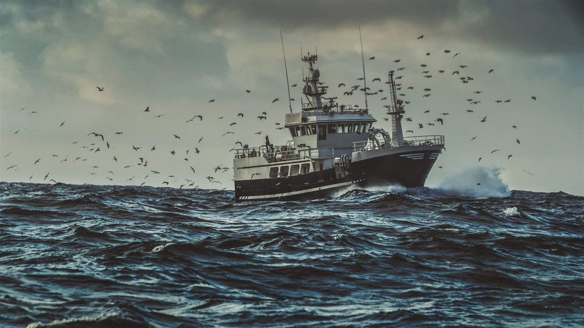 IMOHQ's tweet image. How the Cape Town Agreement Can Improve Commercial Fishing Safety? Find out here: bit.ly/3kKwEFN @pewtrusts @FAOfish #FishingSafety