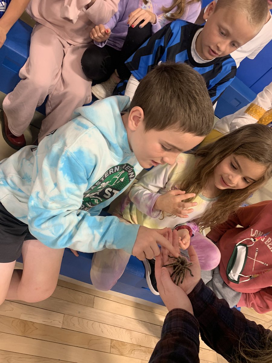 Monica Albanese tweet media