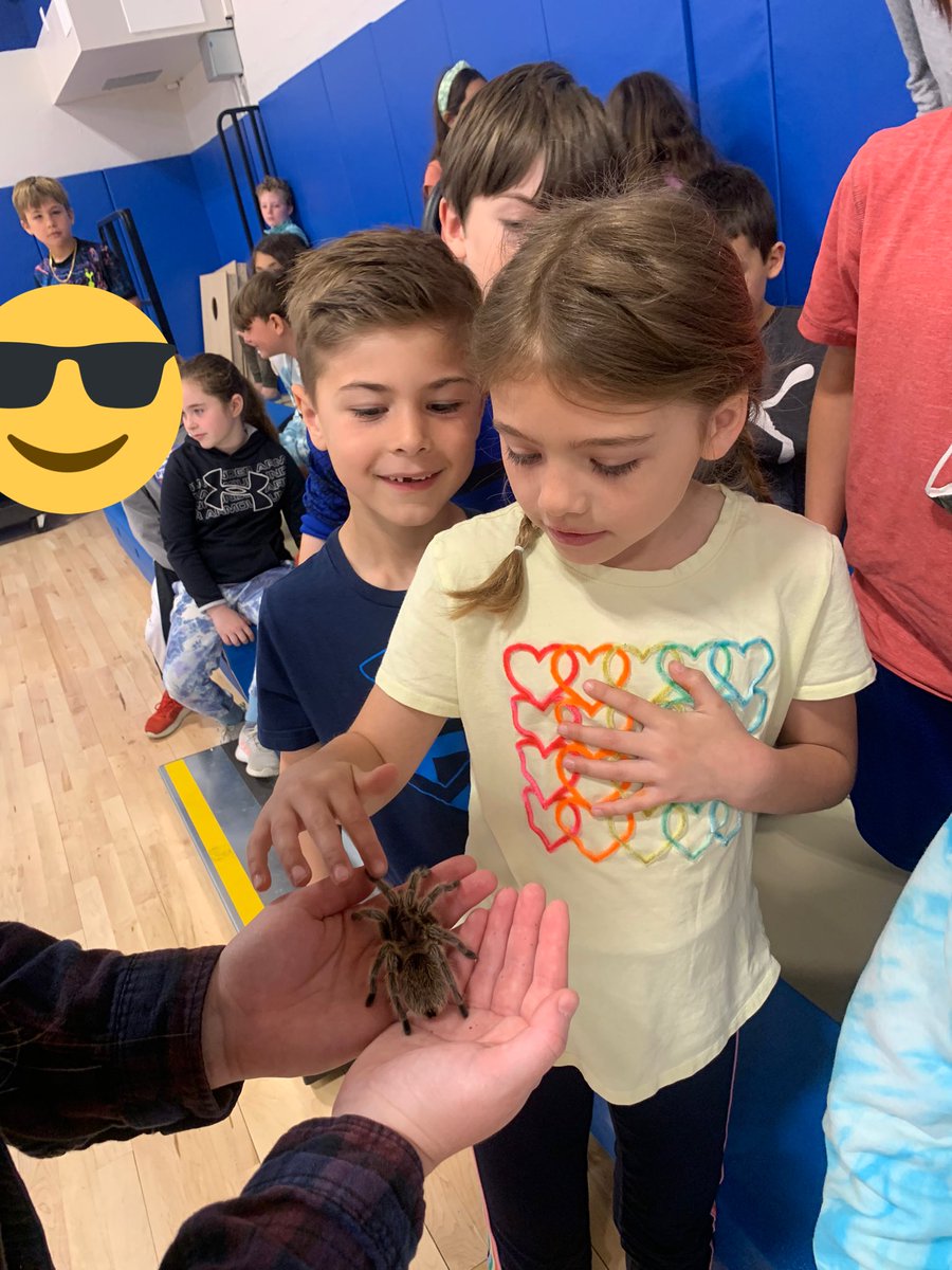 Monica Albanese tweet media