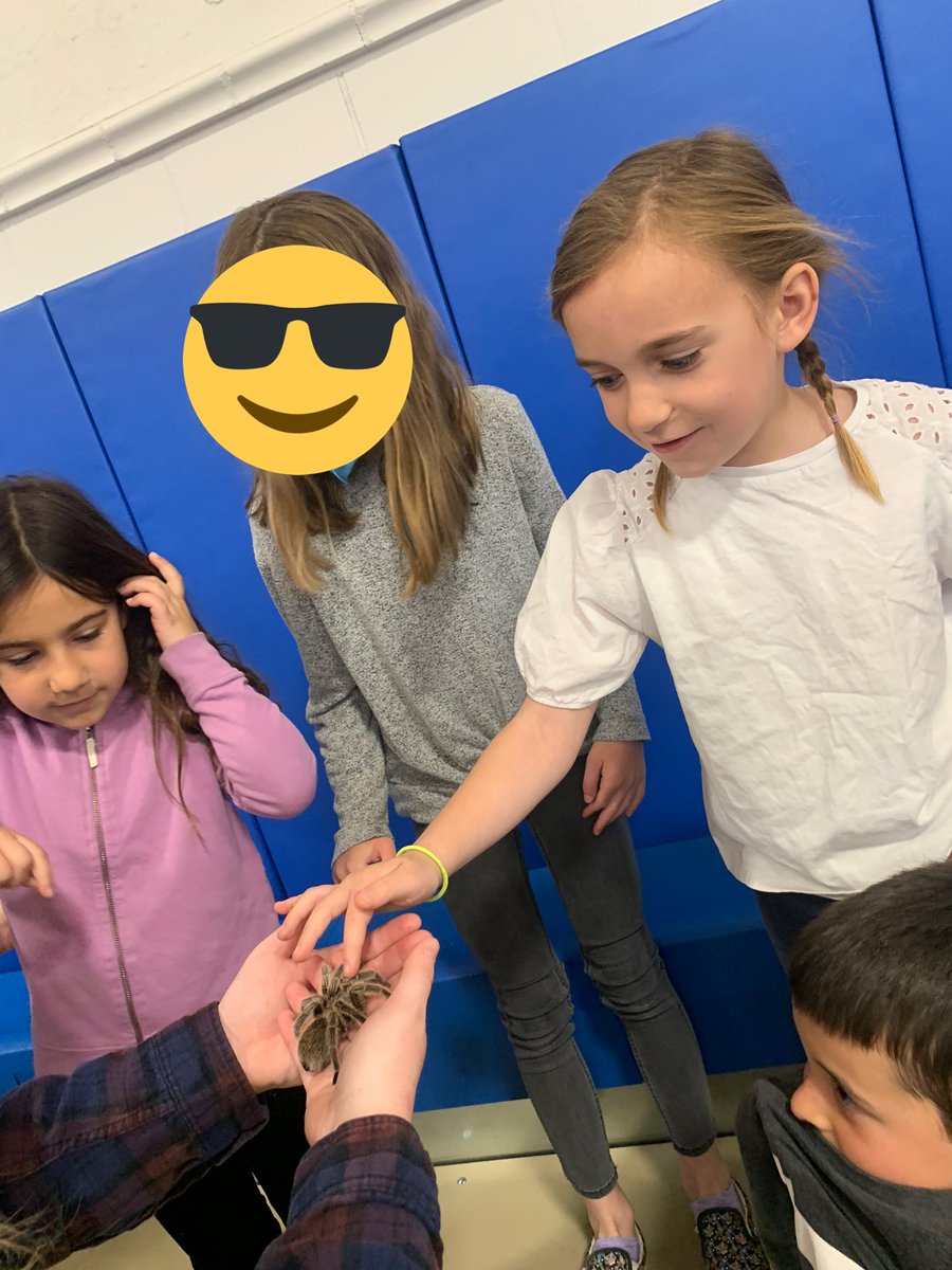 Monica Albanese tweet media