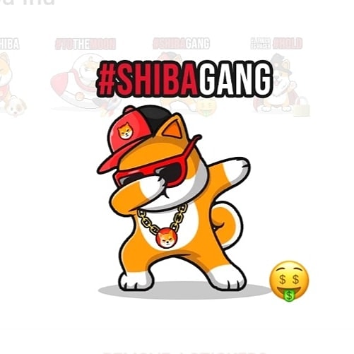 Michael68706767's tweet photo. That bullrun is inevitable! Fill your bags and holdem tight! #Shibto10cents https://t.co/XFbPPPCbi3